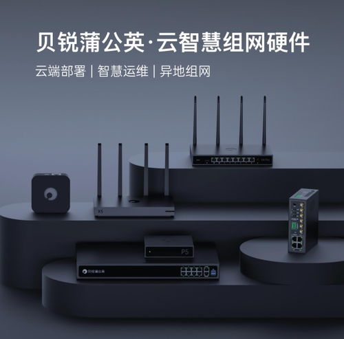 貝銳蒲公英異地組網(wǎng)路由器銷量再奪第一，領(lǐng)跑中國(guó)市場(chǎng)